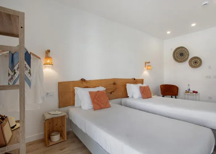 Gospodarstwo wiejskie Quinta Dos Raposos- Portugal *